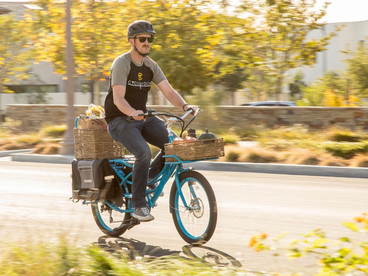 pedego stretch bike